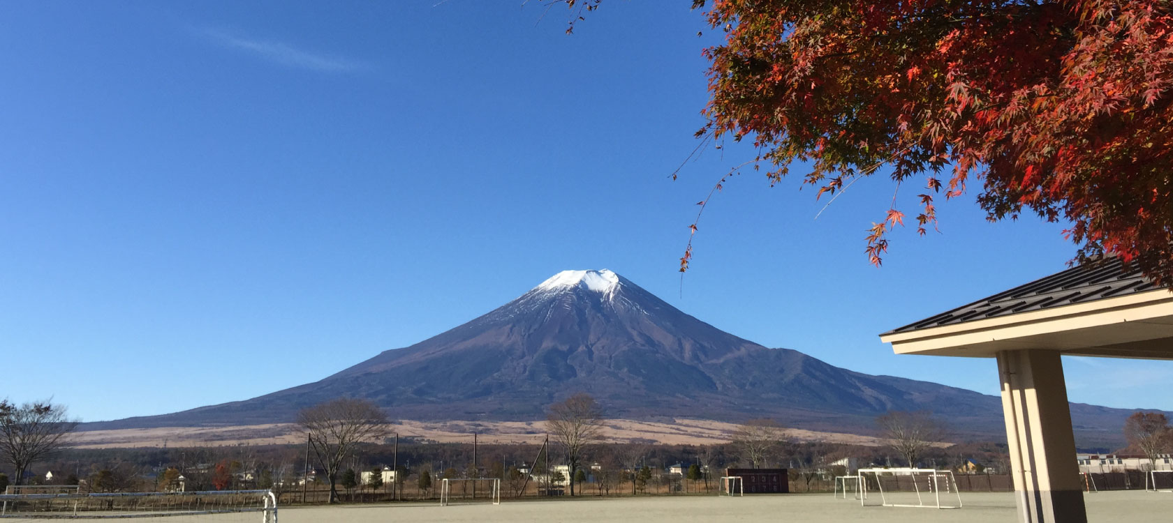 メイン画像2